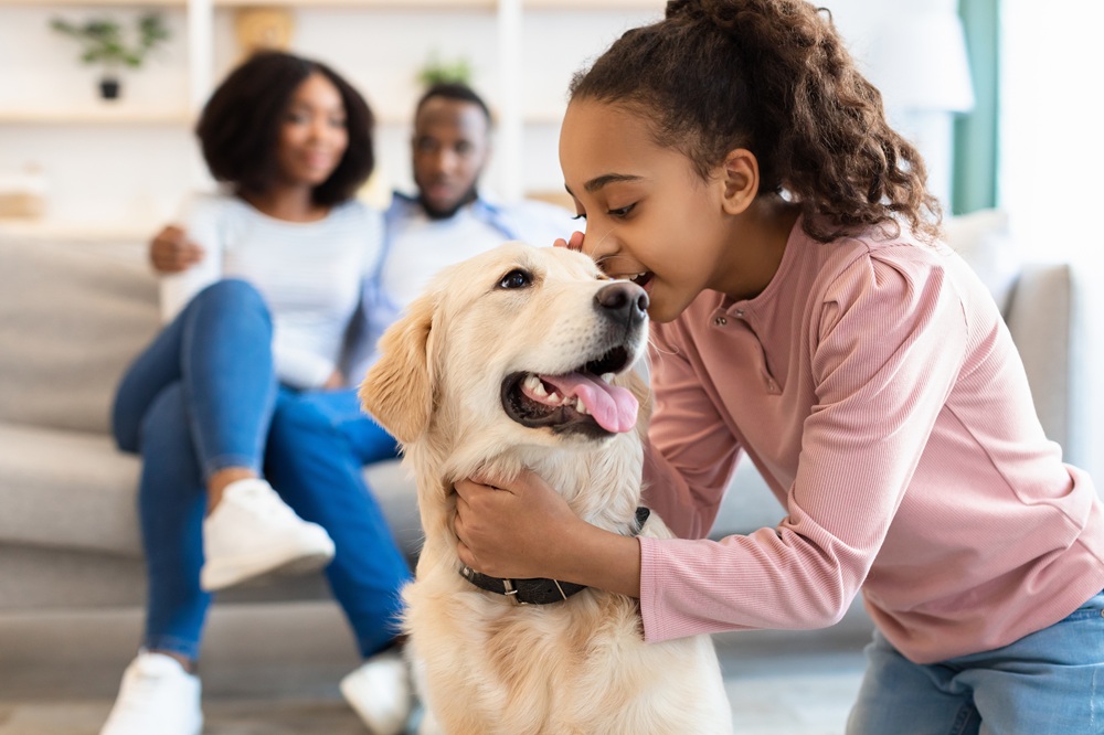 Skuteczny komornik Gdynia 